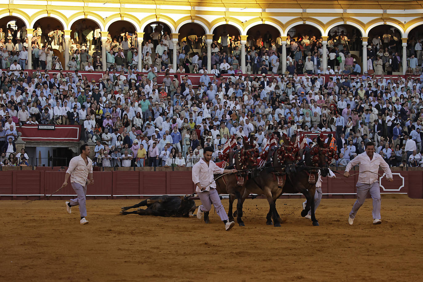 Corrida del 11 de abril en la Maestranza con los toreros Morante de la Puebla, José María Manzanares y Pablo Aguado