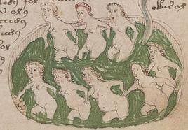 Un nuevo estudio afirma que el misterioso manuscrito Voynich esconde un manual cifrado sobre sexo