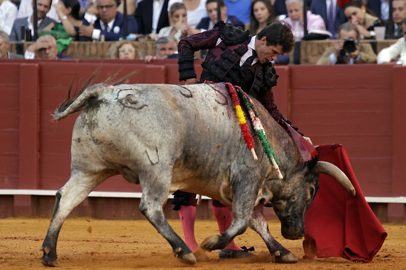 Daniel Luque, en su actuación en el coso sevillano este jueves de farolillos