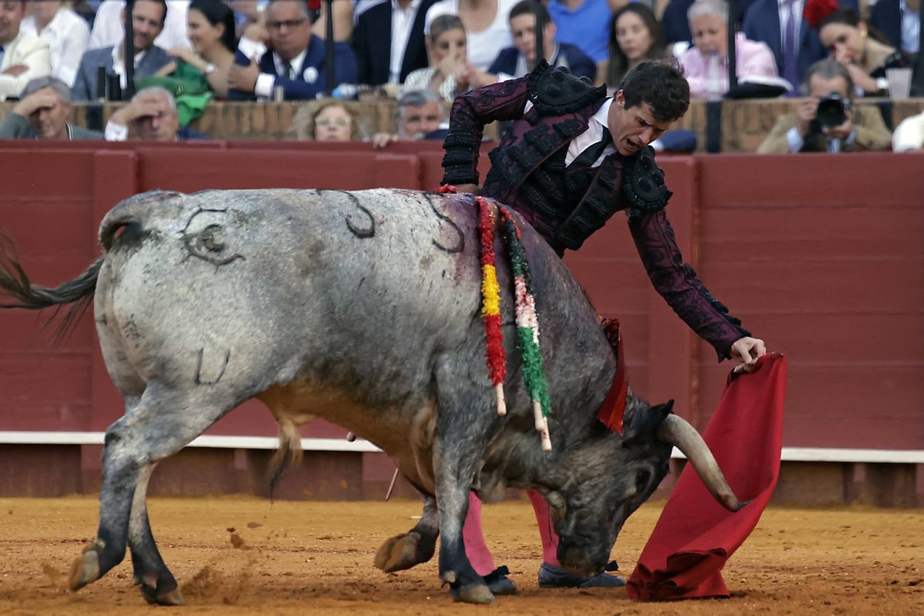 Daniel Luque, en su actuación en el coso sevillano este jueves de farolillos