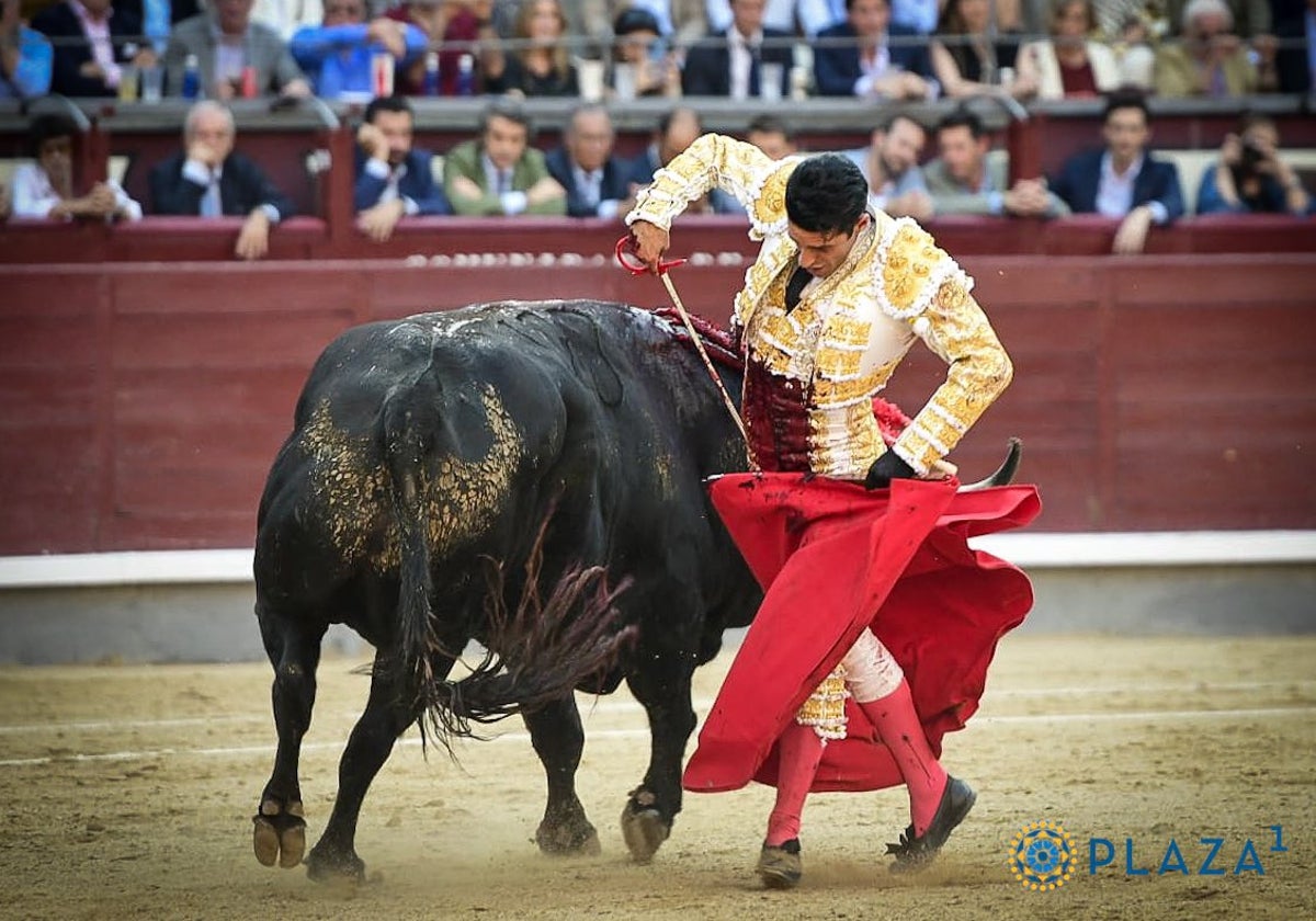 Alejandro Talavante con el quinto