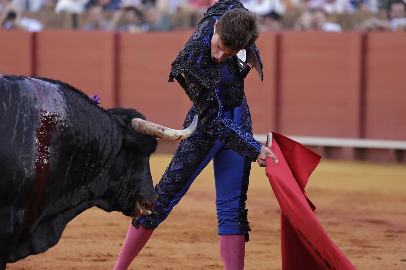 Novillada de abono en la Maestranza para Manuel Román, Javier Zulueta y Diego Bastos