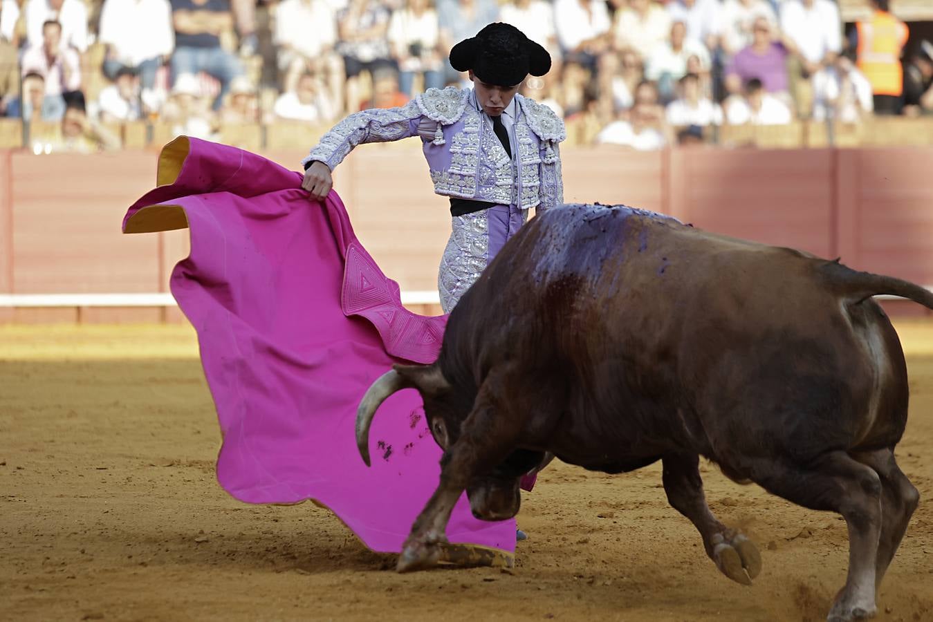 Novillada de abono en la Maestranza para Manuel Román, Javier Zulueta y Diego Bastos