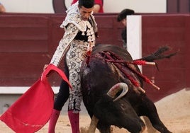 La bravura de Tejonero en la muleta de Talavante