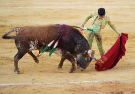 Ambición de novillero y proyección de matador: Marco Pérez se agiganta en Antequera