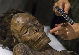 Cultura negociará con el Cabildo el traslado de la momia guanche a Tenerife