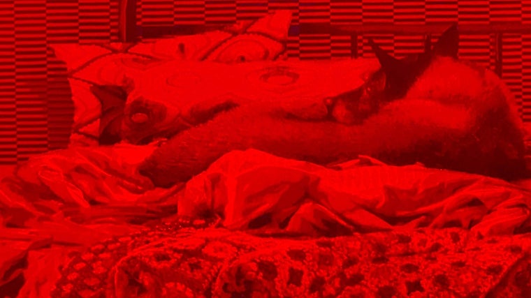 Detalle de la aportación de Javier Garcerá a la muestra