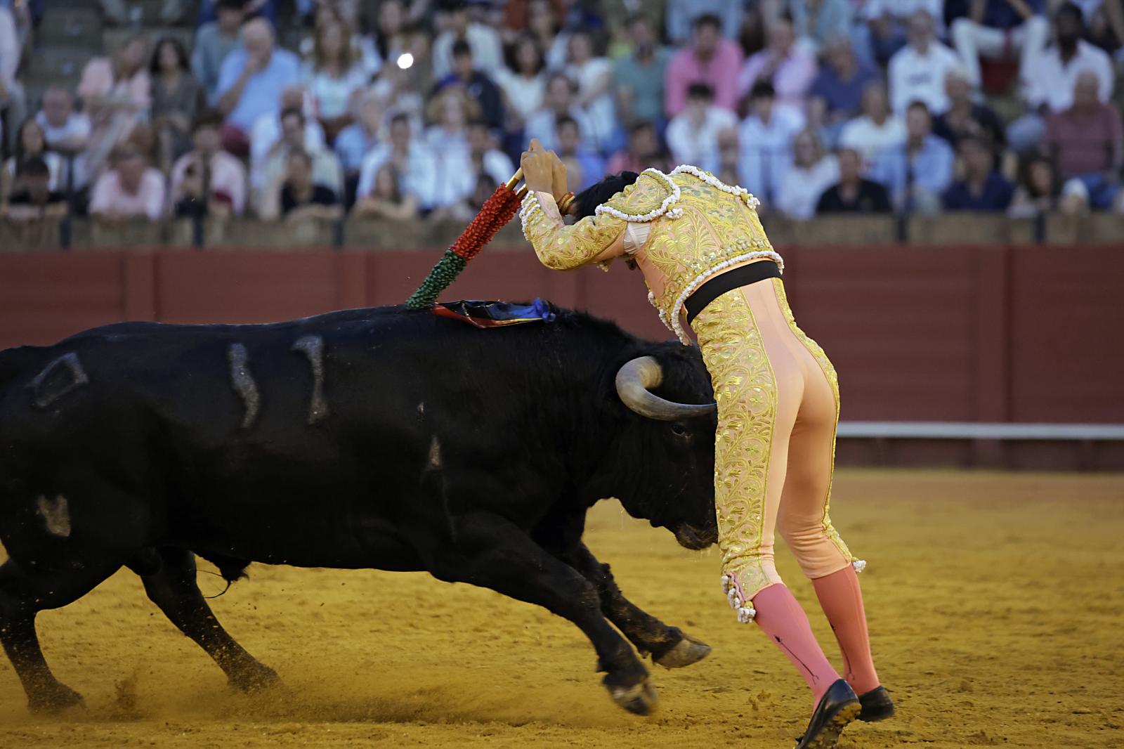 Imágenes de la novillada en la Maestranza de Sevilla de Nek Romero, Tomás Bastos y Martín Morilla