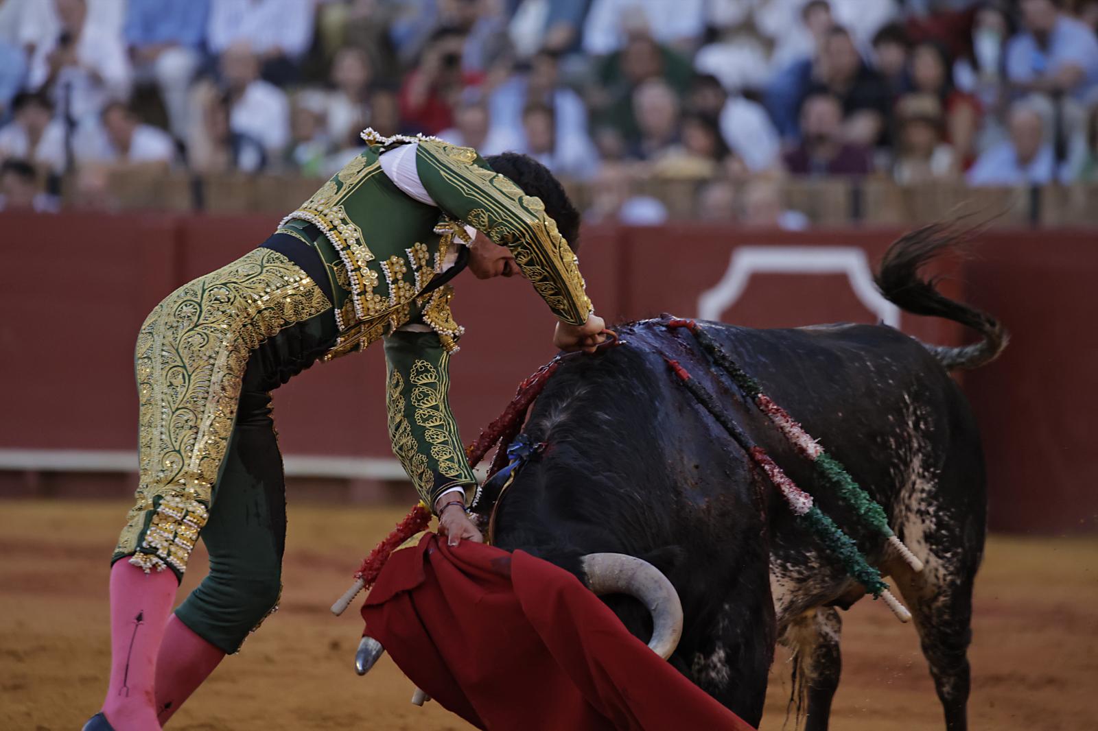 Imágenes de la novillada en la Maestranza de Sevilla de Nek Romero, Tomás Bastos y Martín Morilla