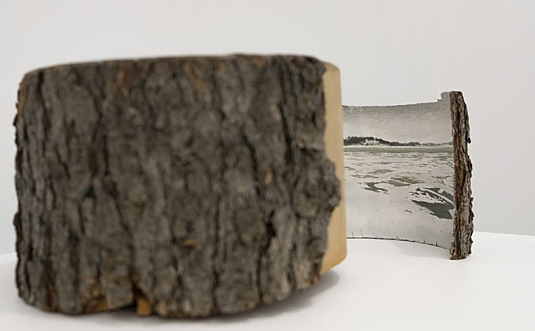 Imagen principal - En las imágenes, las propuestas para la cita de la galería Fernández-Braso de Jan Matthews, Irene Anguita y Silvia Lermo