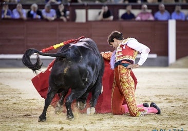 Una floja novillada de Guadamilla trunca las ilusiones de los tres novilleros