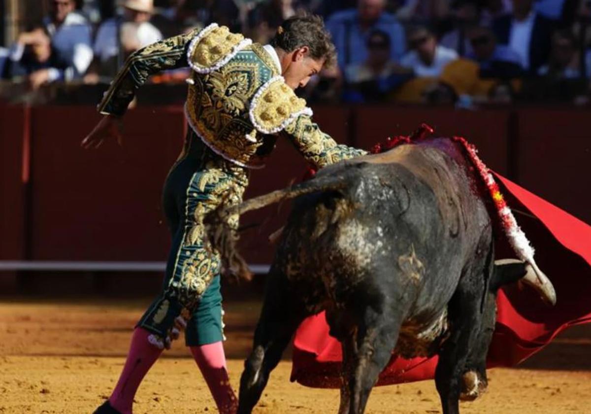 Toros por San Fermín en Pamplona hoy, en directo: última hora de Antonio  Ferrera, Manuel Escribano y Jesús Enrique Colombo