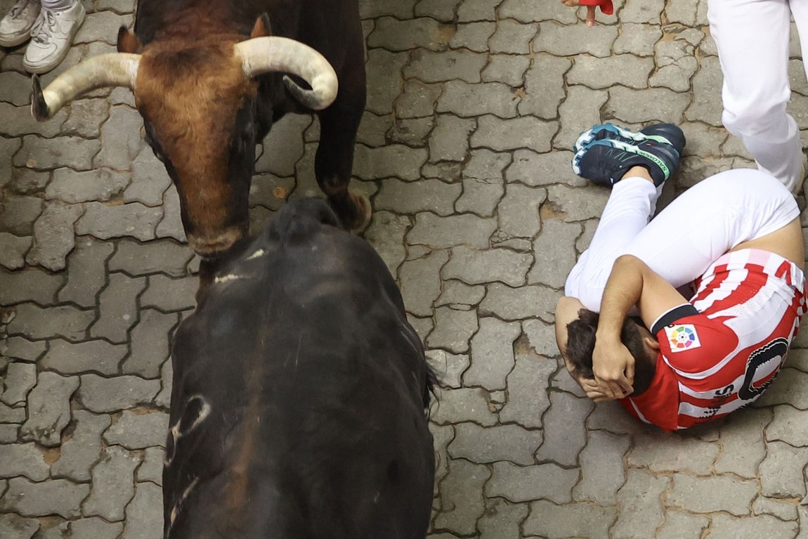 Un corredor junto a dos de los toros en el tramo final del recorrido