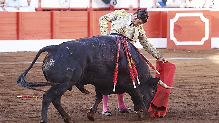Así toreó Morante, puro, asentado y con naturales perezosos