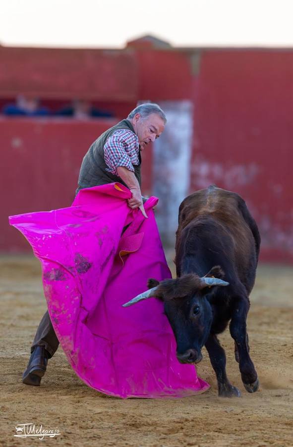 Instantáneas del último tentadero en el que participó Pepe Luis Vázquez