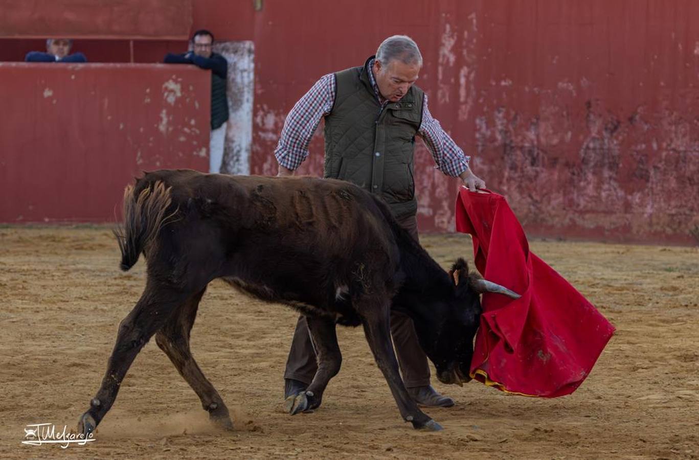 Instantáneas del último tentadero en el que participó Pepe Luis Vázquez