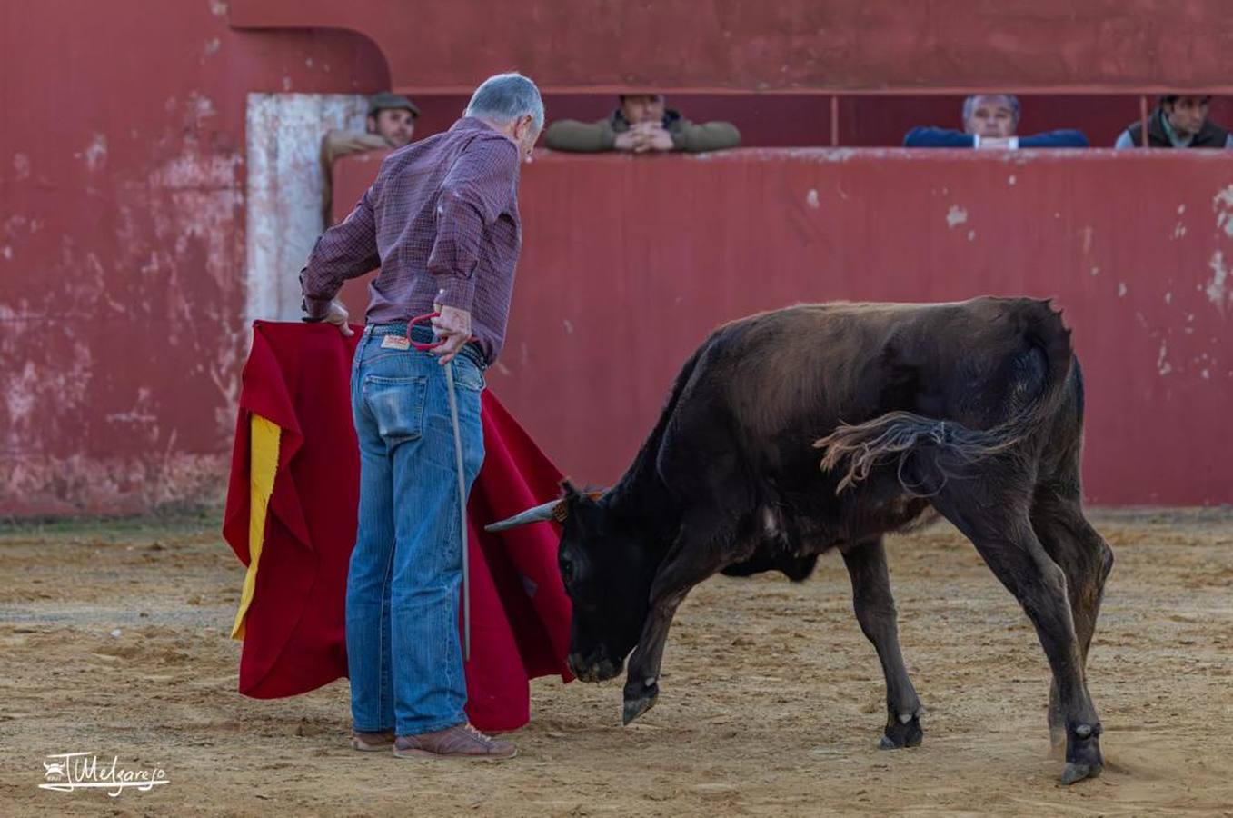 Instantáneas del último tentadero en el que participó Pepe Luis Vázquez