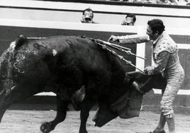 Palabras del Niño Sabio de Camas