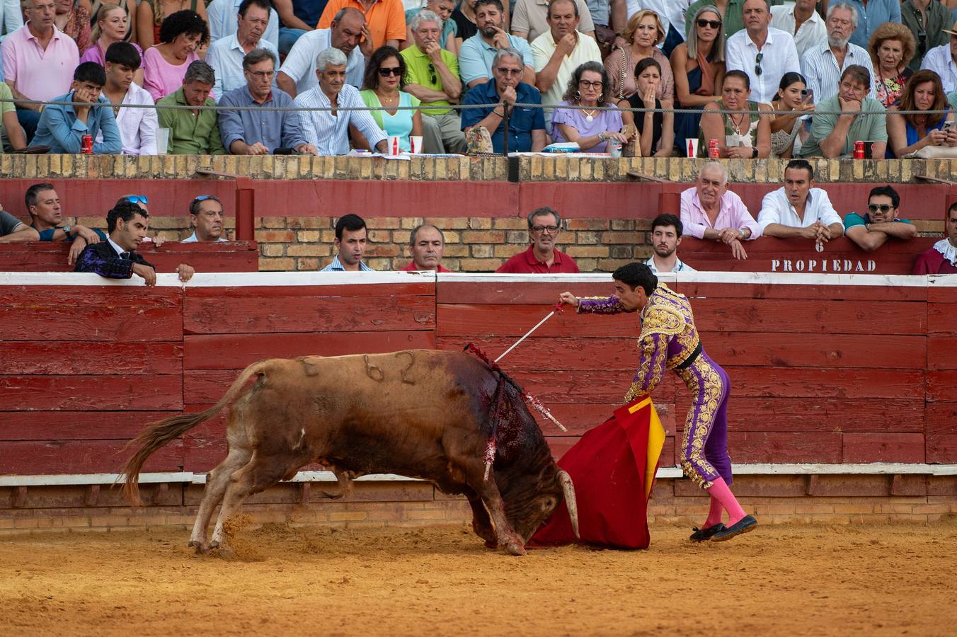Enrique Toro recibió las palmas de la Plaza de la Merced