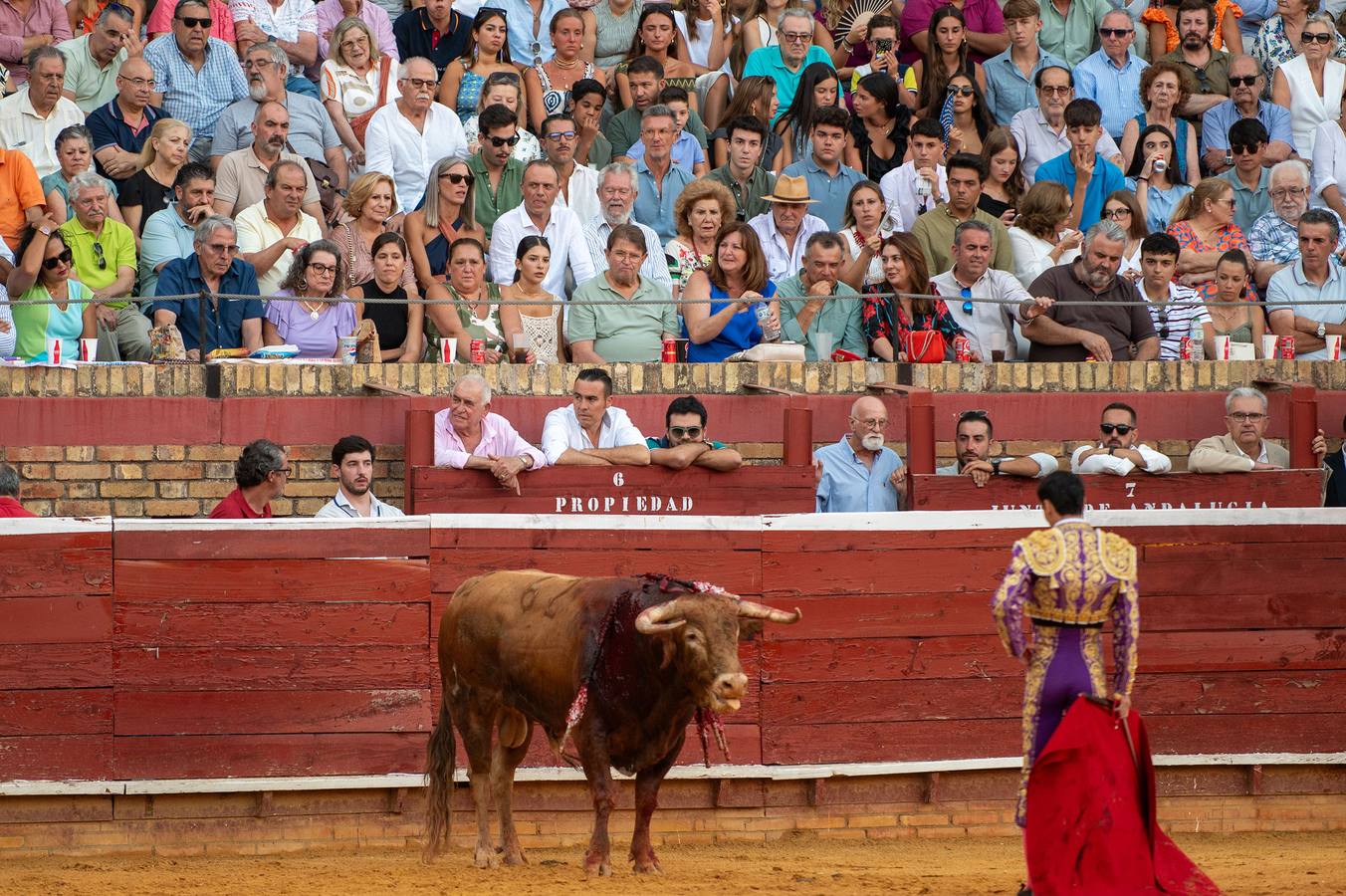Enrique Toro recibió las palmas de la Plaza de la Merced