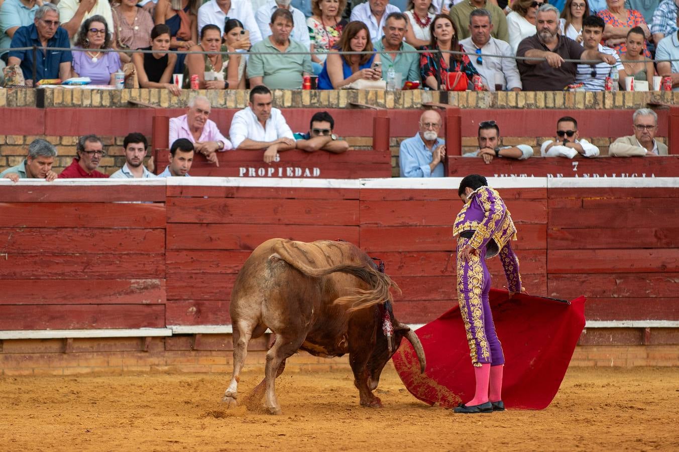 Enrique Toro recibió las palmas de la Plaza de la Merced