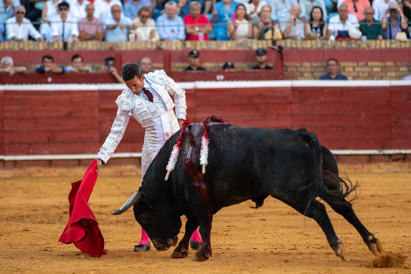 David de Miranda cuajó faenas premiadas con 7 orejas