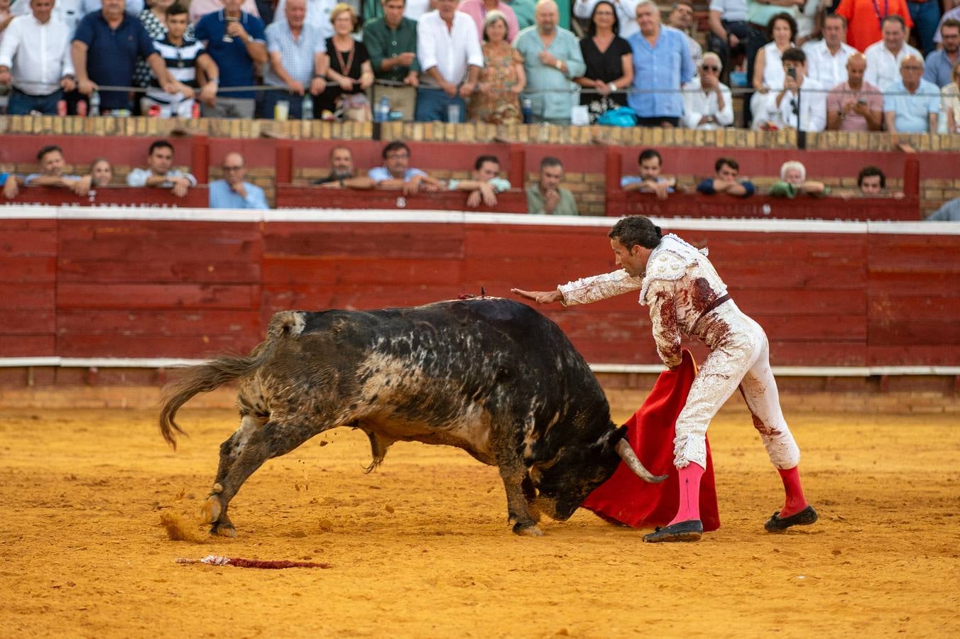 David de Miranda cuajó faenas premiadas con 7 orejas