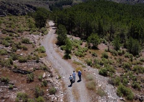 Imagen secundaria 1 - Gonzalo Fernández y Pablo Martínez de Anguita, es decir, Bilbo Bolsón y Gandalf el Gris. Debajo, un momento del camino y la entrada a la casa de Tom Bombadil, en Madarcos