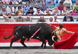 Aarón, un torero de Palacio, capaz de aficionar hasta a una madre antitaurina