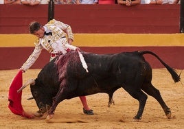 Manuel Escribano celebra sus veinte años de torero con una triunfal corrida en solitario en Tarifa