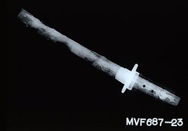 El misterio de la espada japonesa ceremonial hallada en un sótano del Berlín nazi