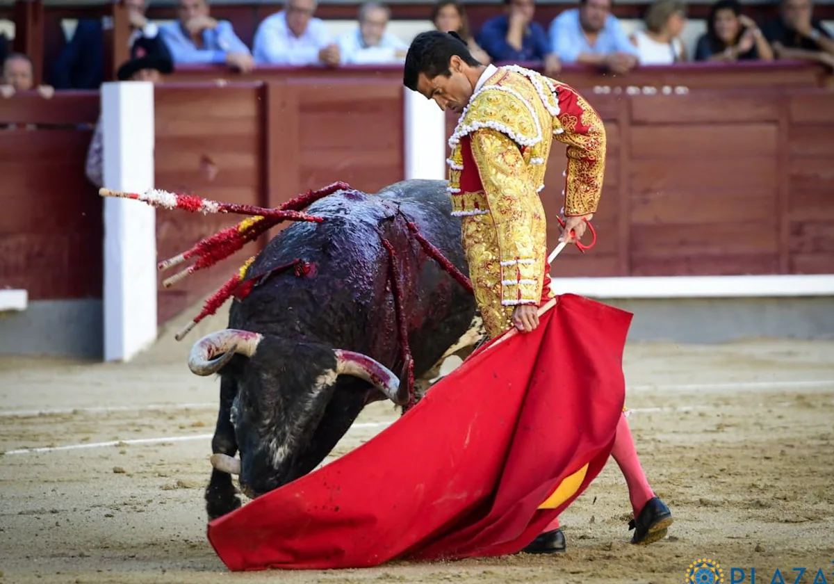 Rafael de Julia, con el toro de Concha y Sierra