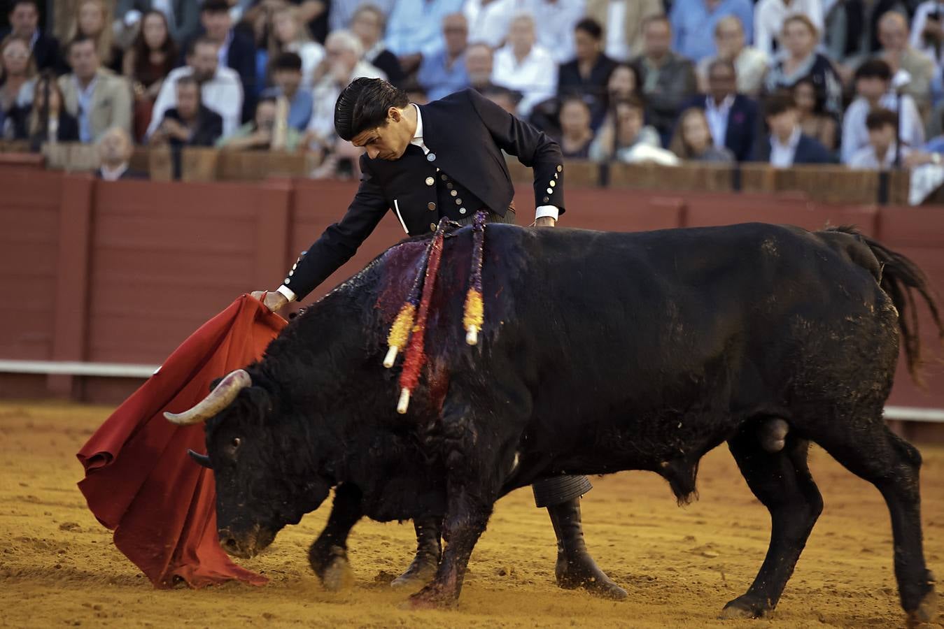 Imágenes del festival taurino a beneficio de Los Gitanos y que ha contado con la presencia de Curro Romero en los tendidos