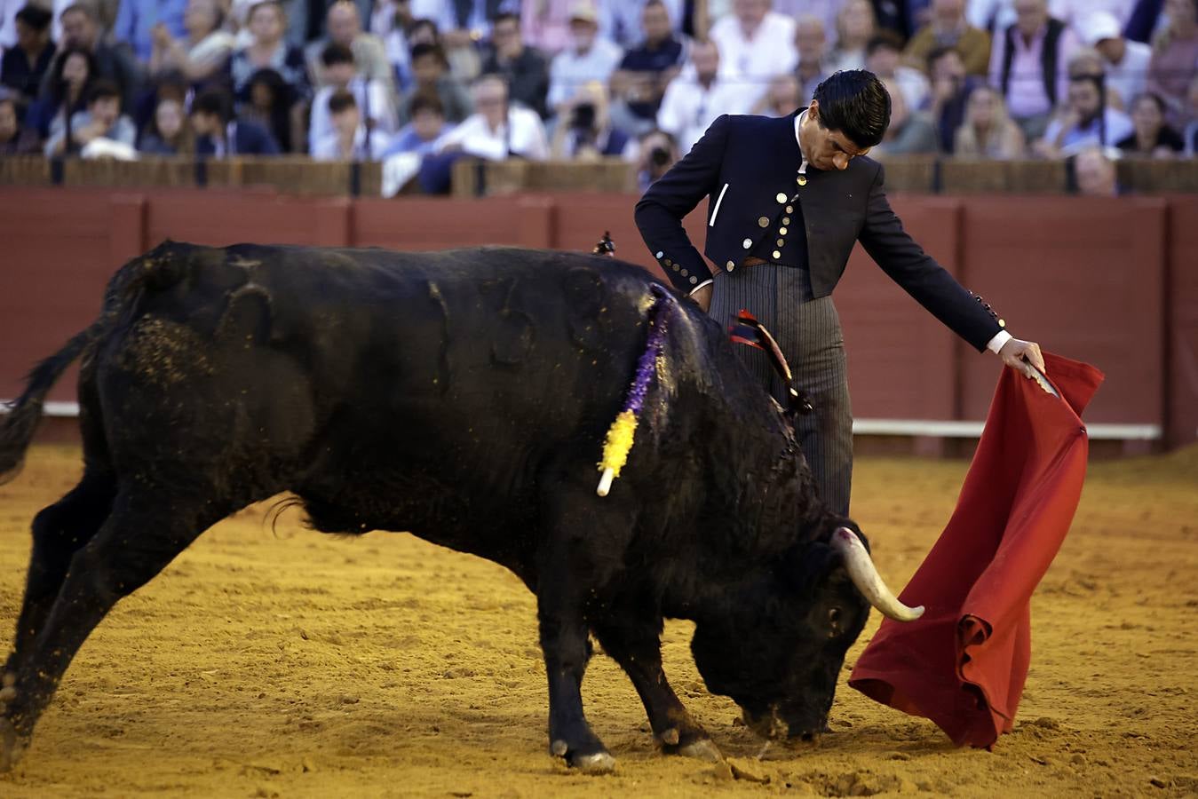 Imágenes del festival taurino a beneficio de Los Gitanos y que ha contado con la presencia de Curro Romero en los tendidos