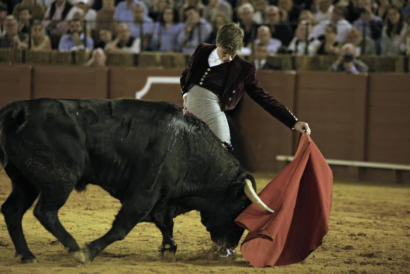 Imágenes del festival taurino a beneficio de Los Gitanos y que ha contado con la presencia de Curro Romero en los tendidos