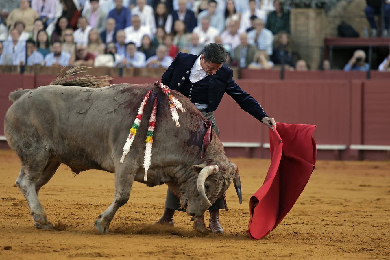 Imágenes del festival taurino a beneficio de Los Gitanos y que ha contado con la presencia de Curro Romero en los tendidos