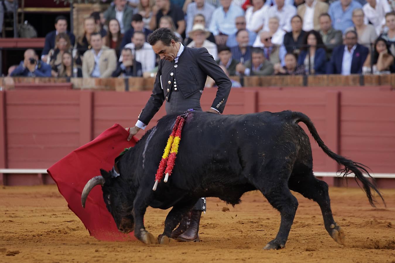 Imágenes del festival taurino a beneficio de Los Gitanos y que ha contado con la presencia de Curro Romero en los tendidos