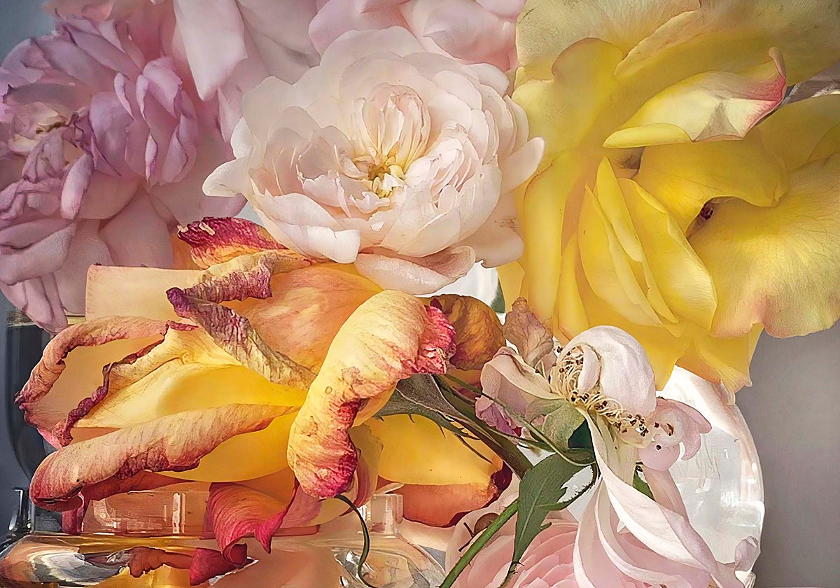 'Sunday. 29 September', de Nick Knight