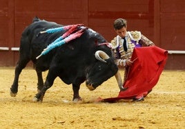 El Juli estará en el festival de Vistalegre por las víctimas de la DANA como ganadero: regalará un toro del Freixo