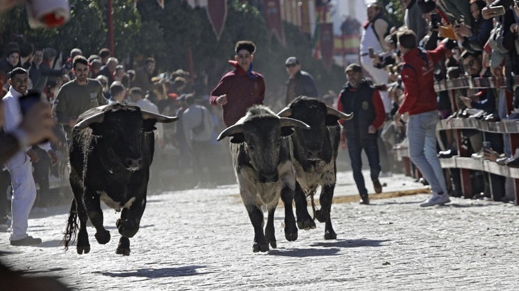 Andalucía es tauromaquia