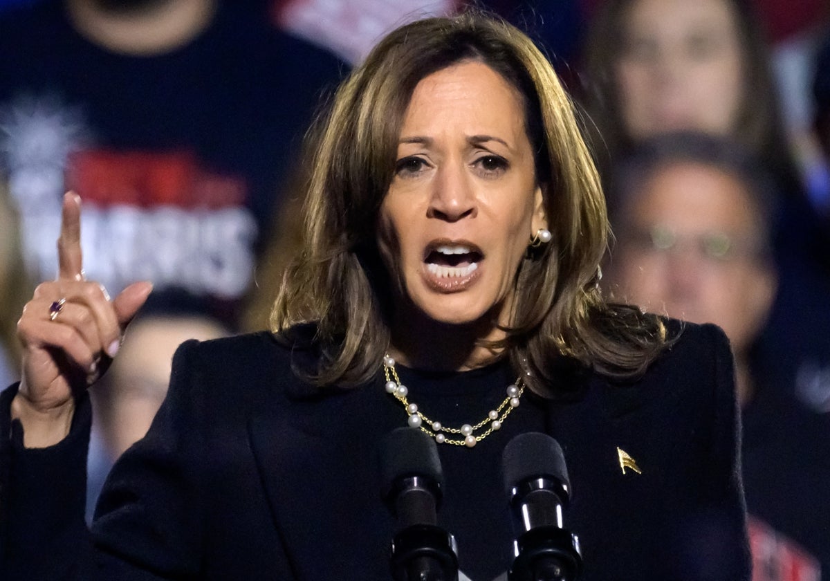 Kamala Harris quizás perdió por haberse atrevido a entrar en este laberinto ultraizquierdista