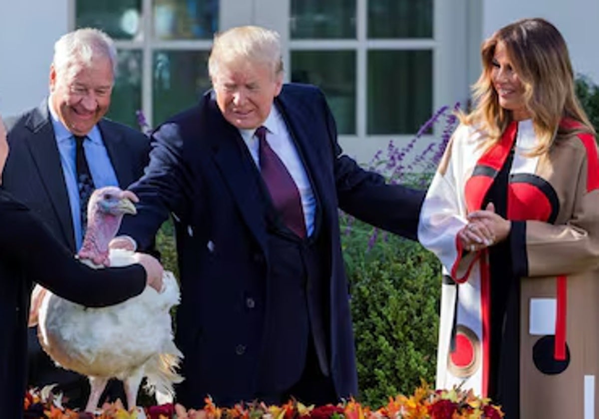 Donald Trump preparándose para el Día de Acción de Gracias