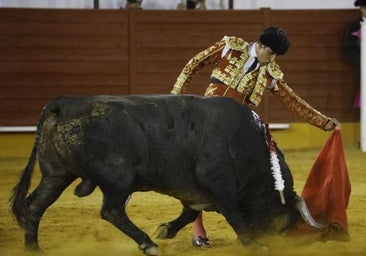 Un 2025 de retiradas: Javier Castaño, el torero que superó un cáncer de testículos, también dirá adiós a los ruedos