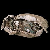 Más de 300 monedas del siglo XI emergen en la futura planta de energía nuclear en Suffolk