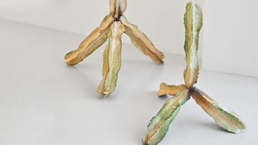 Pablo Capitán del Río y Arnaoutou/King