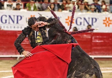 Toros en América: de la inspirada faena de Ortega al indulto de Ferrera a Oro Puro