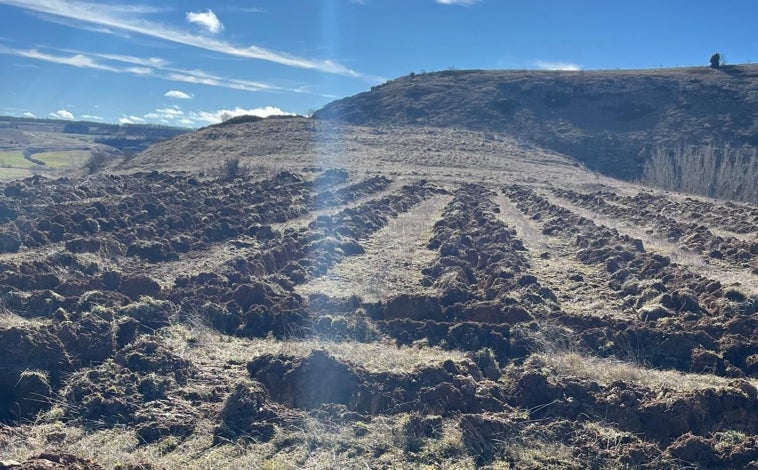 Imagen principal - Imágenes del yacimiento arqueológico destruido