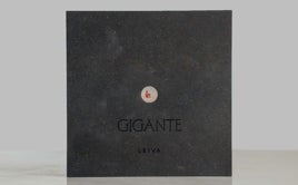 Leiva: «En la música la salud mental está adquiriendo nombre de negocio»