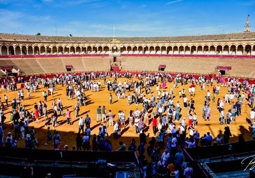 La jornada de puertas abiertas del año pasado contó con un gran éxito de público