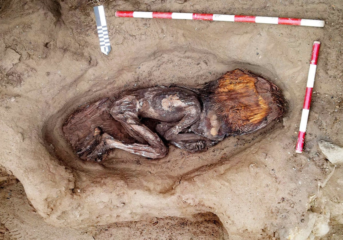 La mujer de la élite de la civilización Caral hallada en Perú